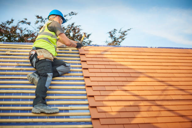 Best Roof Maintenance and Cleaning  in Superior, CO